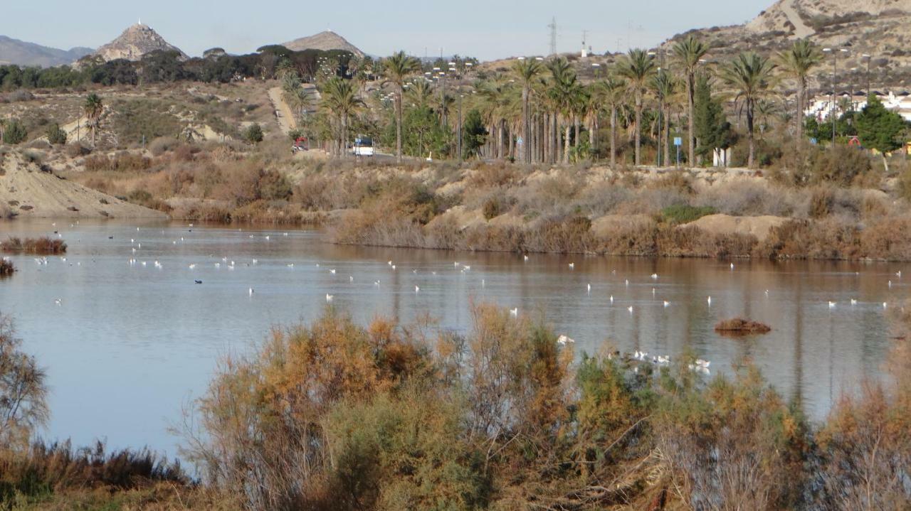 Vera Rental Torremar Natura Dış mekan fotoğraf